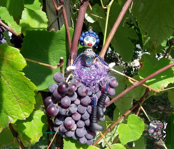 Medusette Uva-Fragola vendanges 2015