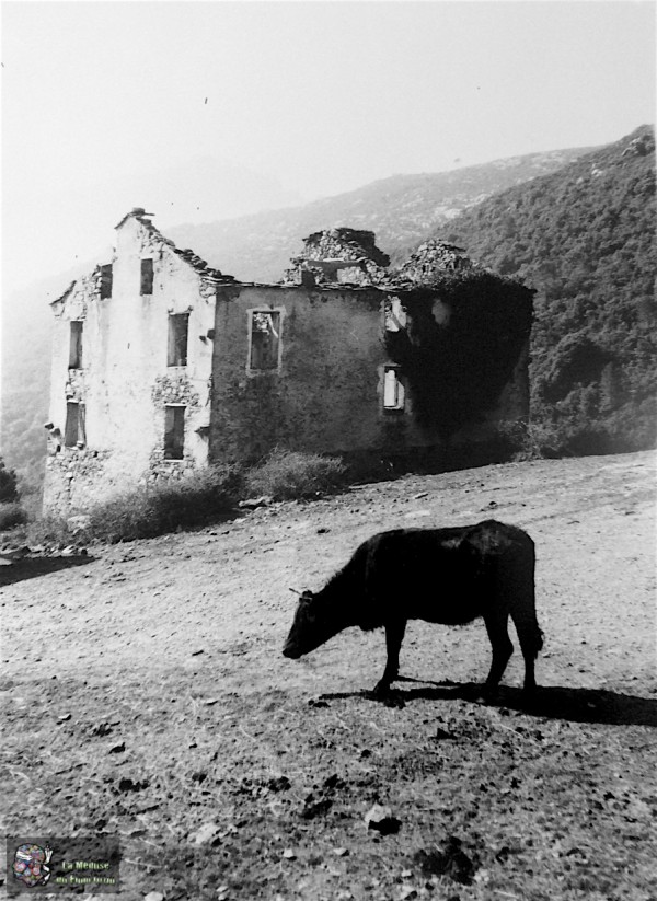 Ghisoni Rosse 20227 Photo argentine +/- 1995